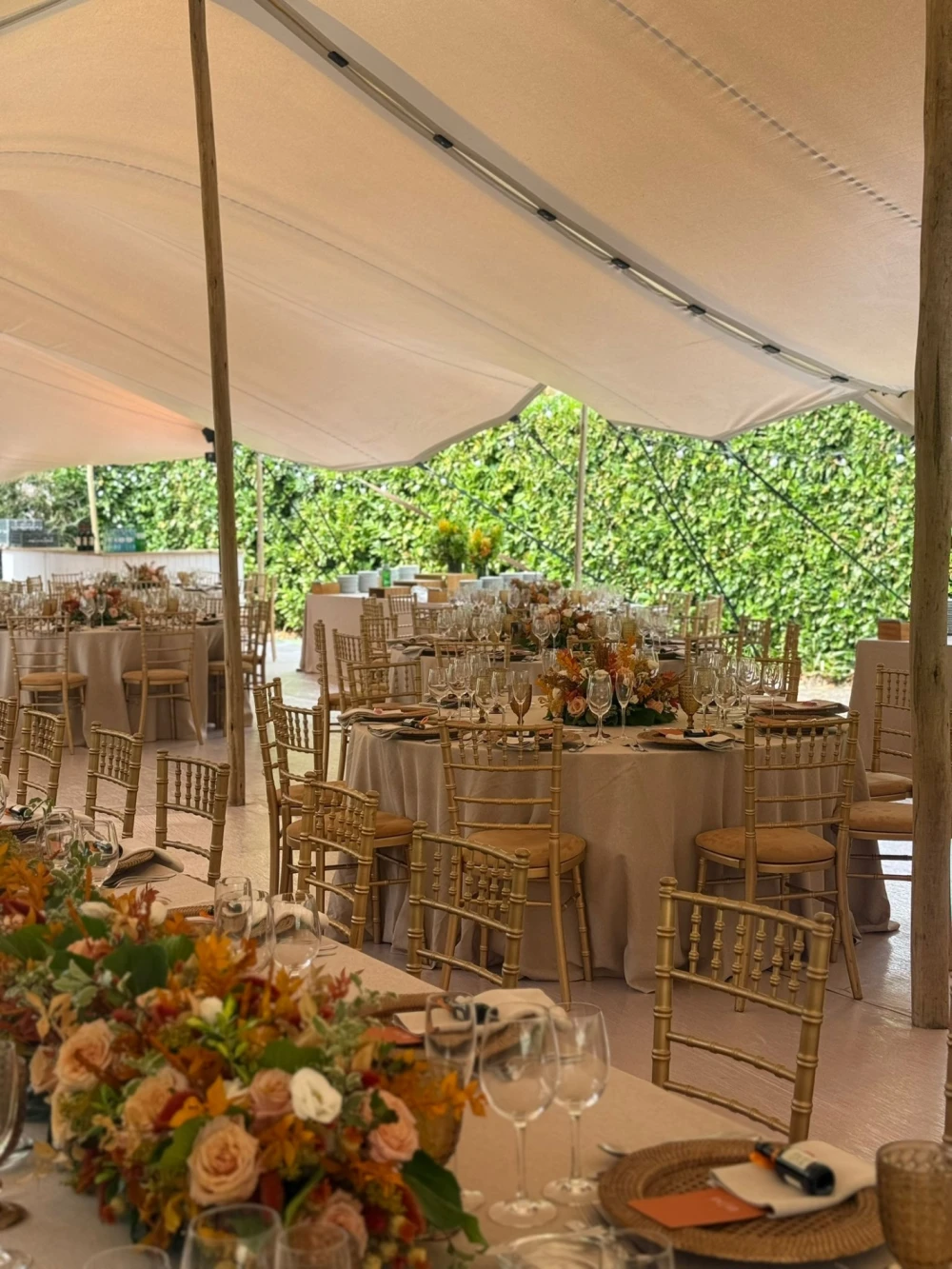 Wedding B&M